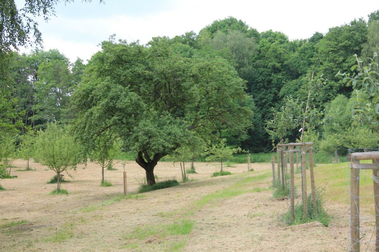 Apfelscheune Cannewitz Malschwitz Exterior foto
